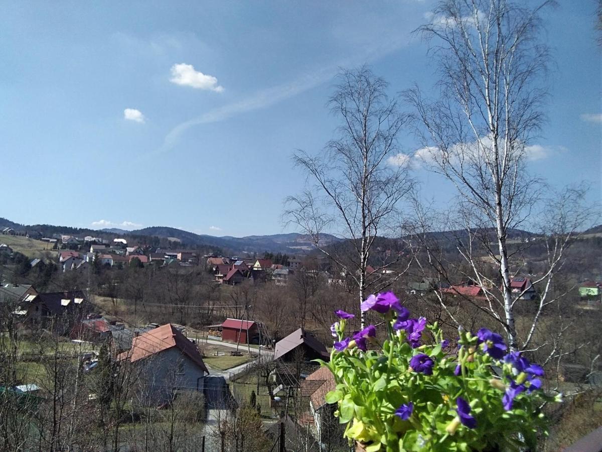 Nowa Jutrzenka Apartment Stryszawa Bagian luar foto